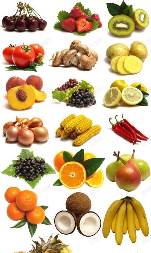 各种蔬菜水果图片(各种蔬菜水果图片简笔画)